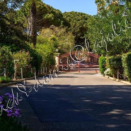 Magnifique Parc De La Presqu'Ile Avec Piscine Et Plage Face A Porquerolles ! Hyères Kültér fotó