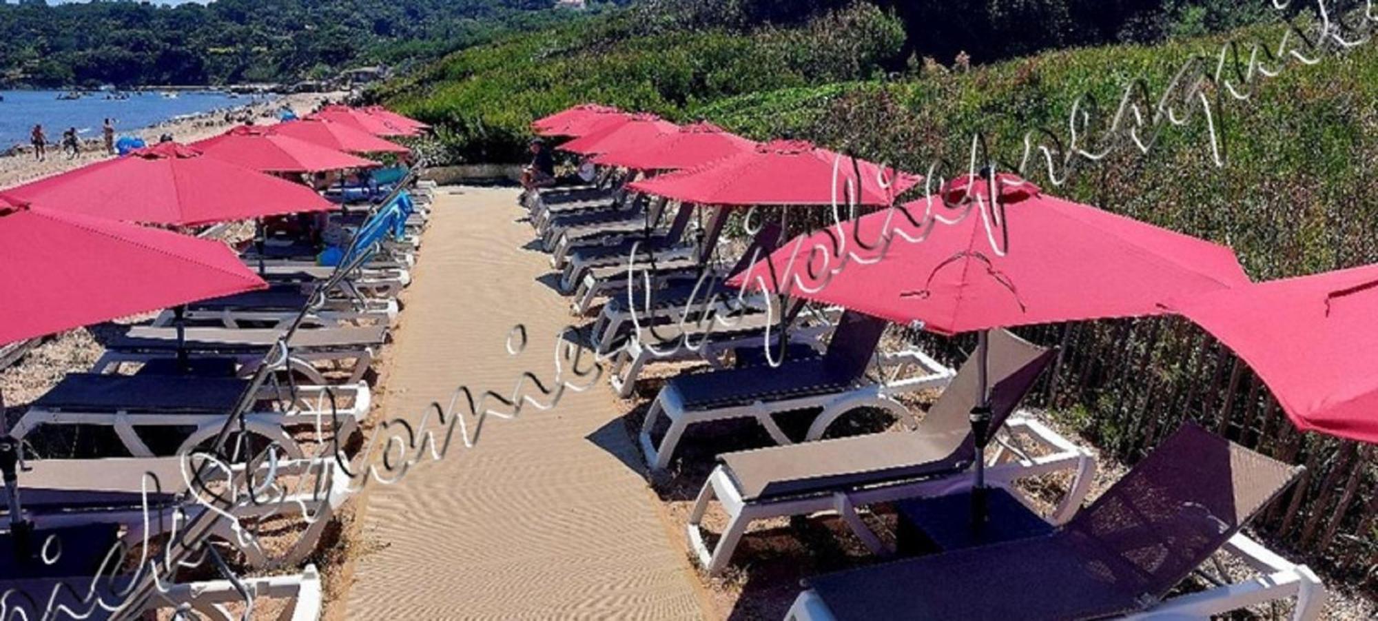 Magnifique Parc De La Presqu'Ile Avec Piscine Et Plage Face A Porquerolles ! Hyères Kültér fotó