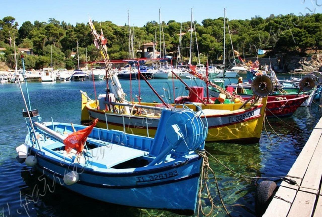 Magnifique Parc De La Presqu'Ile Avec Piscine Et Plage Face A Porquerolles ! Hyères Kültér fotó