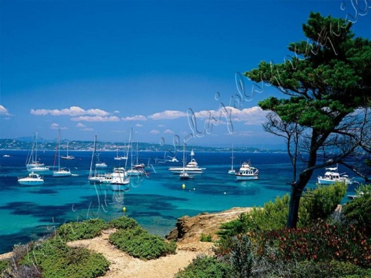 Magnifique Parc De La Presqu'Ile Avec Piscine Et Plage Face A Porquerolles ! Hyères Kültér fotó