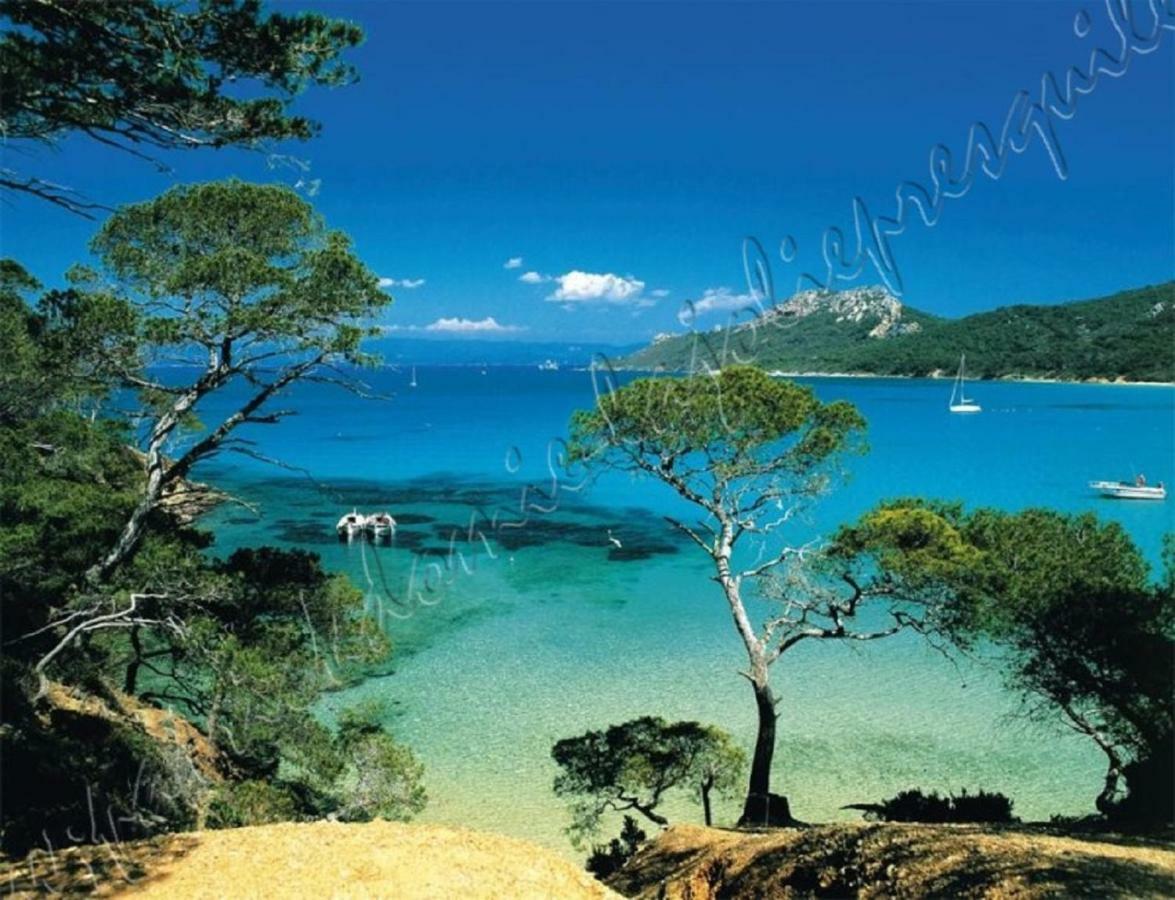 Magnifique Parc De La Presqu'Ile Avec Piscine Et Plage Face A Porquerolles ! Hyères Kültér fotó