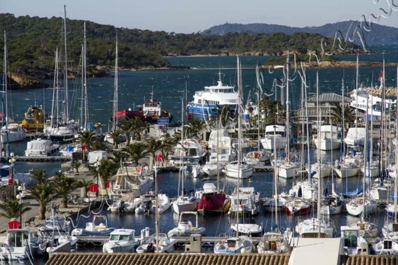 Magnifique Parc De La Presqu'Ile Avec Piscine Et Plage Face A Porquerolles ! Hyères Kültér fotó