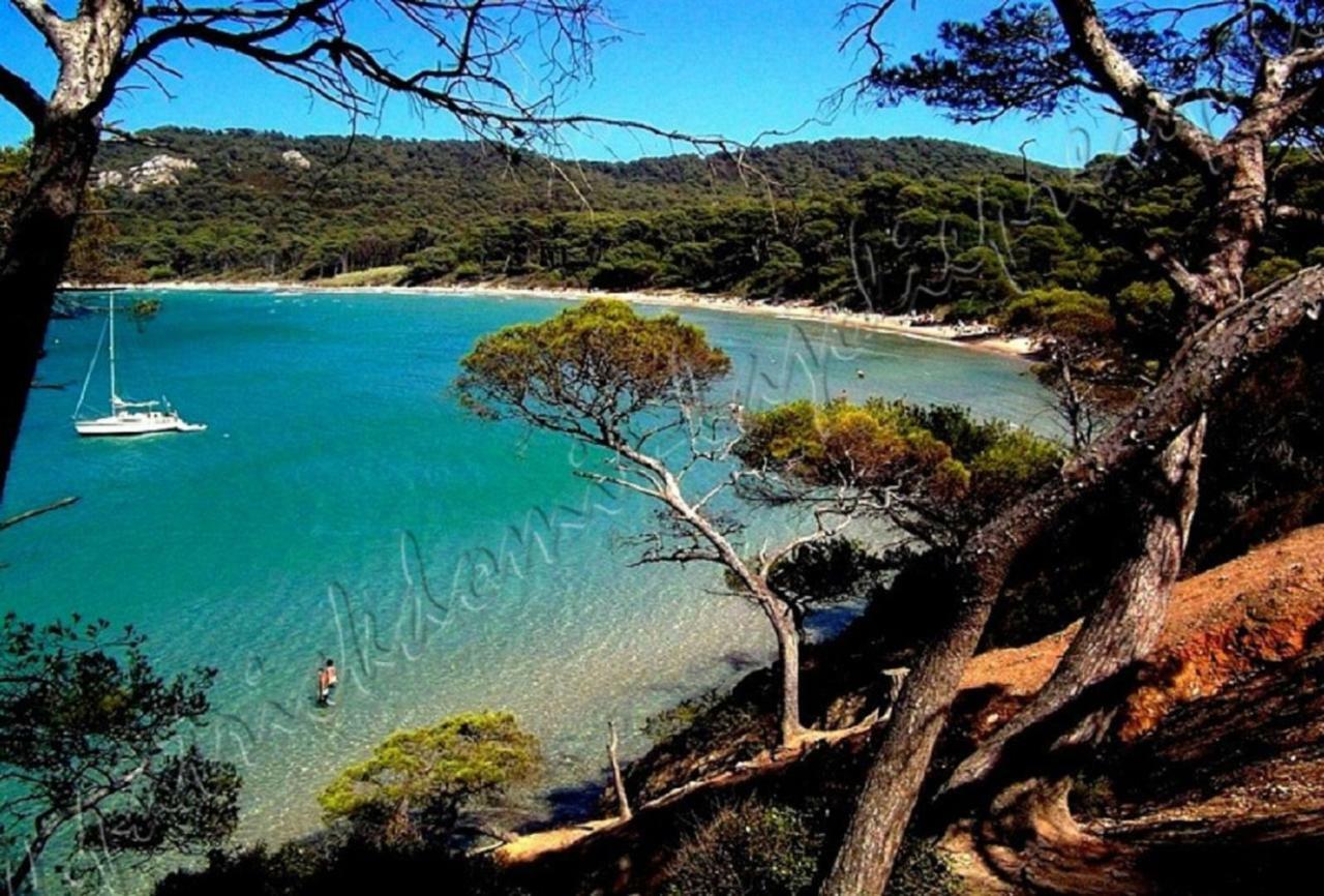 Magnifique Parc De La Presqu'Ile Avec Piscine Et Plage Face A Porquerolles ! Hyères Kültér fotó