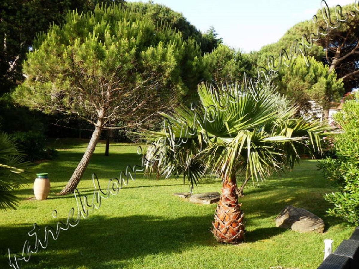 Magnifique Parc De La Presqu'Ile Avec Piscine Et Plage Face A Porquerolles ! Hyères Kültér fotó